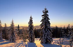 Gesundheitsurlaub im Winter im Bayerischen Wald: Gesund und vital ins neue Jahr